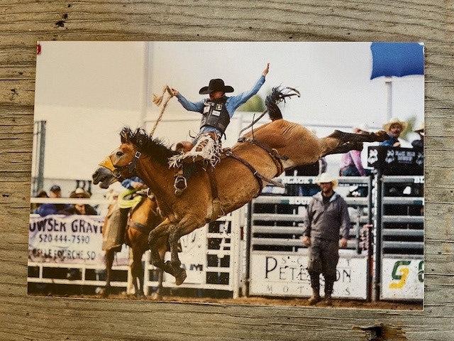 Lunatic Bronc Postcard